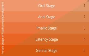 The Genital Stage