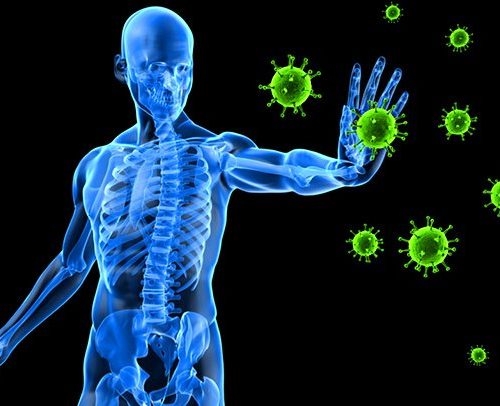 Six ways you can help your immune system