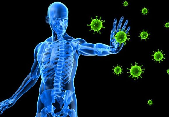 Six ways you can help your immune system